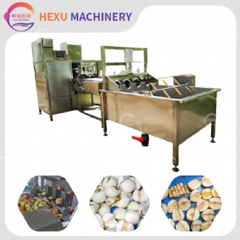 Automatic Apples Washing, Peeling and Coring Machine