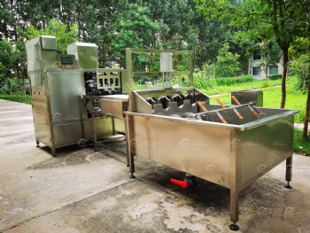 Automatic Apples Washing, Peeling and Coring Machine