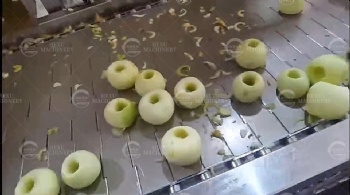 Automatic Apples Washing, Peeling and Coring Machine