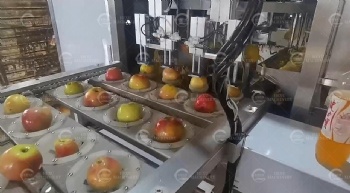 Automatic Apples Washing, Peeling and Coring Machine