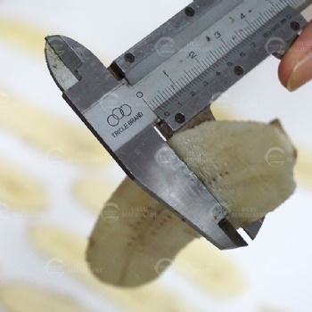 Plantain Chips Cutting Machine