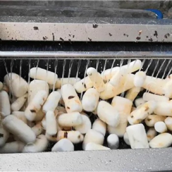 Potato Cassava Washing and Peeling Machine