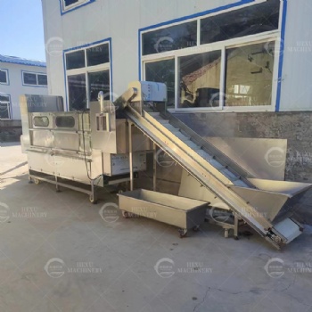 Blade Type Potato Peeling Machine