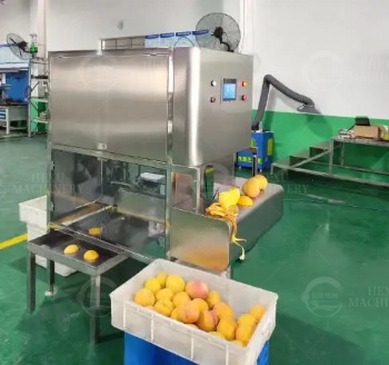 Mango Peeling and Coring Machine