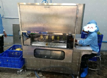 Mango Peeling and Coring Machine