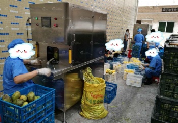 Mango Peeling and Coring Machine