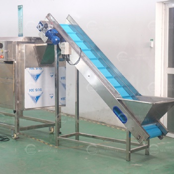 Continuous Type Roots Washing and Peeling Machine