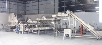 Spinach Vibrating and Air Knife Cleaning Line