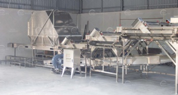 Spinach Vibrating and Air Knife Cleaning Line