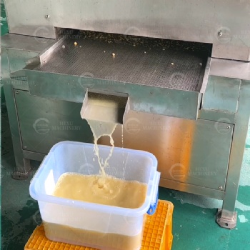 Lemon Juice Extracting Machine