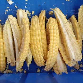 Potato Cutting Separating Machine