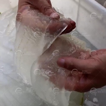 Aloe Peeling Machine