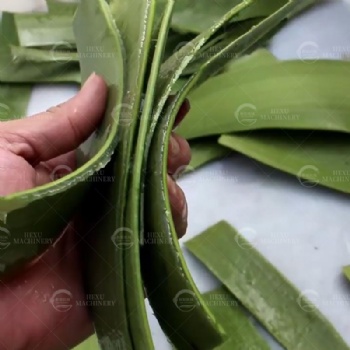 Aloe Peeling Machine