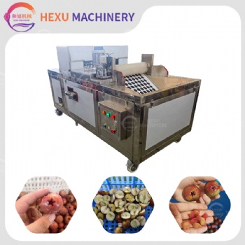 Plum Pitting Machine