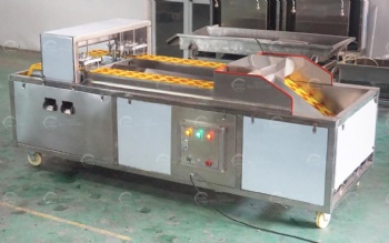 Litchi Pitting Machine