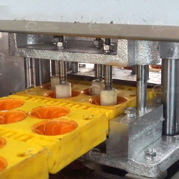Litchi Pitting Machine