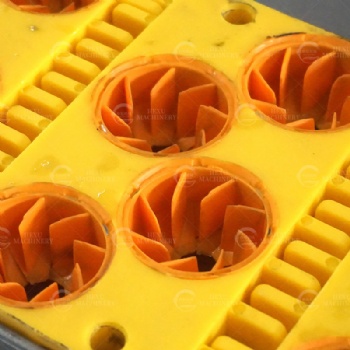 Litchi Pitting Machine