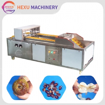 Litchi Pitting Machine