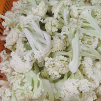 Cauliflower Floretting Machine
