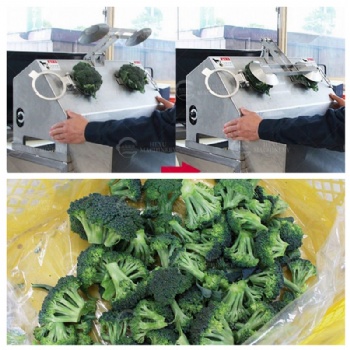 Cauliflower Floretting Machine