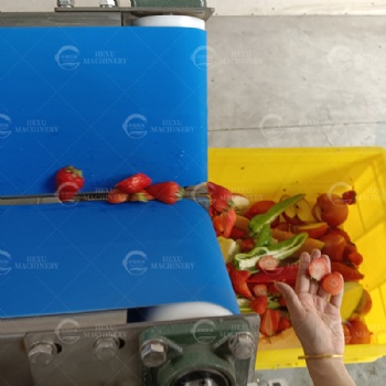 Strawberry Half Cutting Machine
