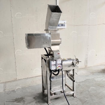 Apple Juice Extracting Machine