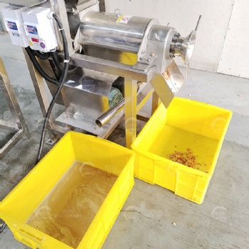Apple Juice Extracting Machine