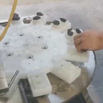 Dried Plum Pitting Machine