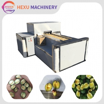 Avocado Pitting Machine