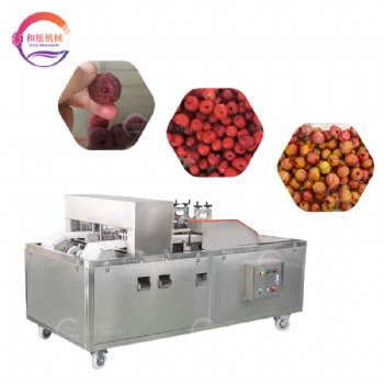 Fruits Coring Machine