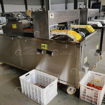 Fruits Coring Machine