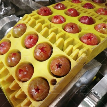 Fruits Coring Machine