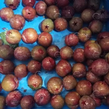 Fruits Coring Machine
