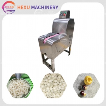 LonganPitting Machine