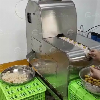 LonganPitting Machine