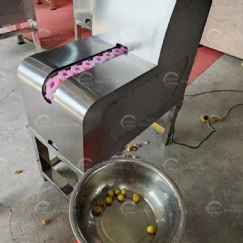 LonganPitting Machine