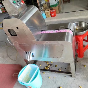 LonganPitting Machine