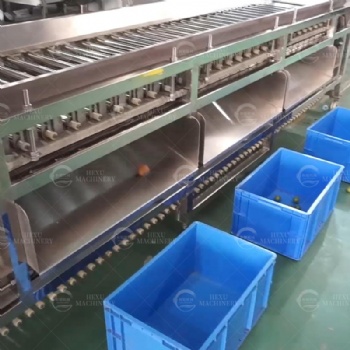 Potato Grading Machine