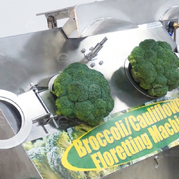 Broccoli Floretting Machine