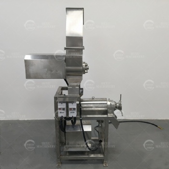 Vegetable and Fruit Juicing Machine