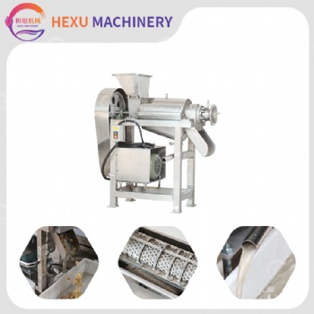 Fruit Juice Extracting Machine