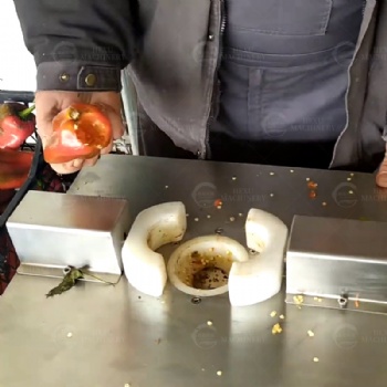Pepper Seeds Removing Machine