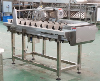 Fish Head Cutting Machine