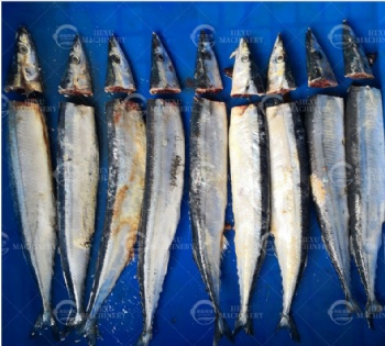 Fish Head Cutting Machine