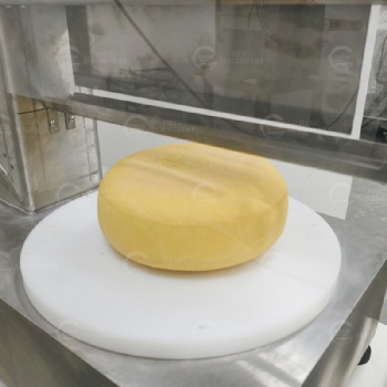 Cheese Wheel Portioning Machine