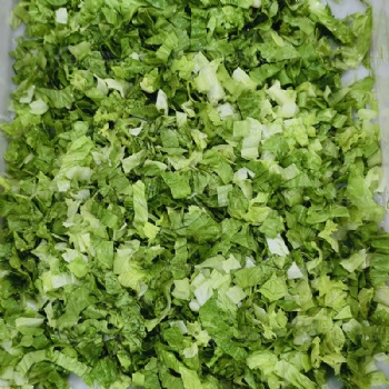 生菜切块机