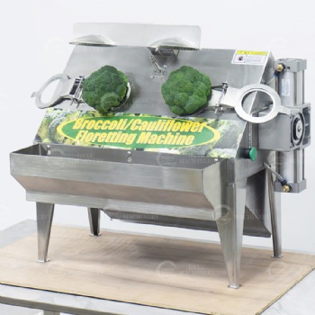 Cauliflower Floret Cutting Machine