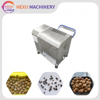 Longan Pitting Machine
