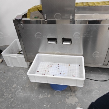 Plum Coring Machine