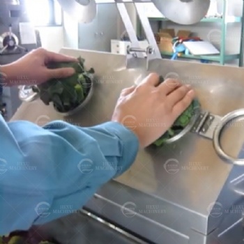 Cauliflower Florets Cutting Machine